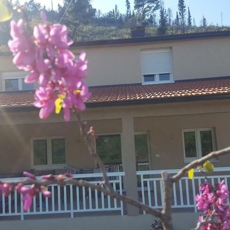 Apartment Marta Čapljina Exterior foto